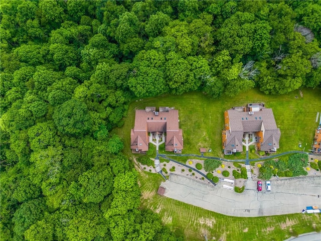 4704 Swiss Mountain Dr, Seven Springs Resort, PA 15622 - photo 37