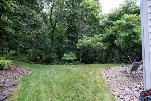 314 Westburn Ct, Seven Fields Boro, PA 16046 - view of green lawn