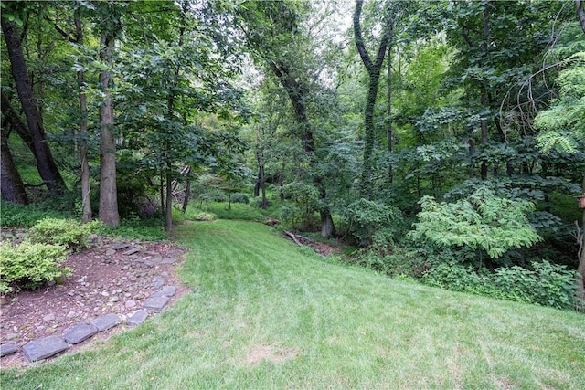 314 Westburn Ct, Seven Fields Boro, PA 16046 - view of grassy yard featuring a forest view