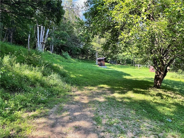 108 Hill St, Coaldale, PA 16679 - view of grassy yard with a storage unit
