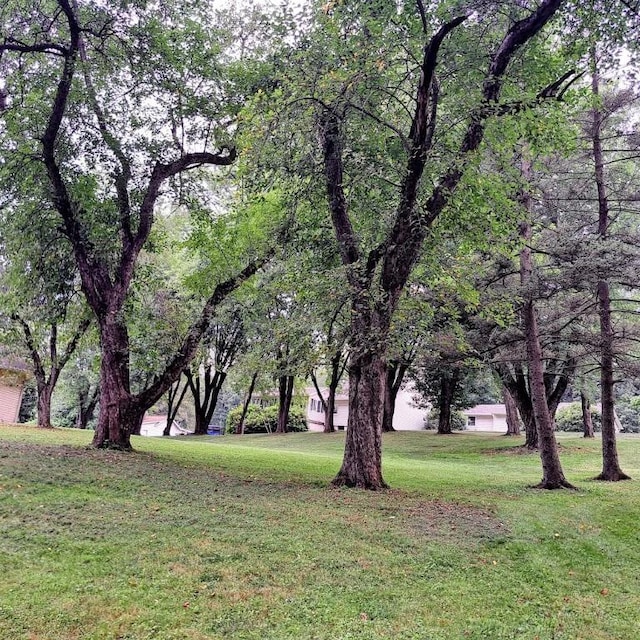 120 Rothen Ave, Twp Of But Nw, PA 16001 - view of green lawn