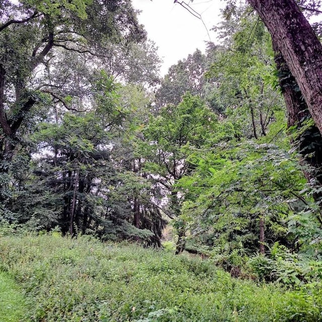 120 Rothen Ave, Twp Of But Nw, PA 16001 - view of woods