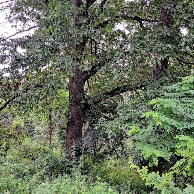 120 Rothen Ave, Twp Of But Nw, PA 16001 - view of woods