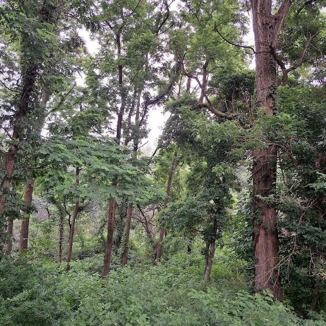 120 Rothen Ave, Twp Of But Nw, PA 16001 - view of wooded area