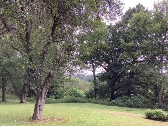 120 Rothen Ave, Twp Of But Nw, PA 16001 - view of grassy yard