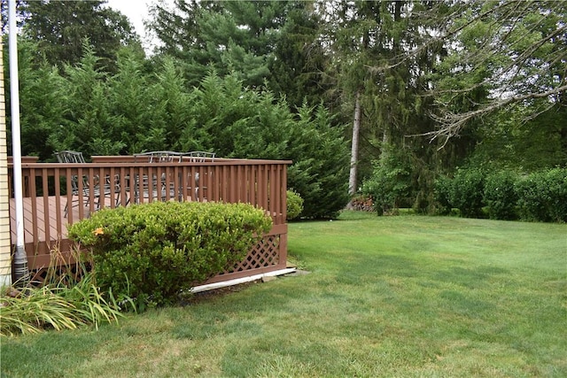 117 Plum, Level Green, PA 15085 - photo 31