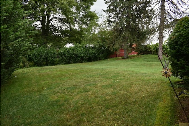 117 Plum, Level Green, PA 15085 - photo 33