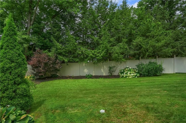 2116 Stewart Rd, South Park, PA 15129 - view of yard