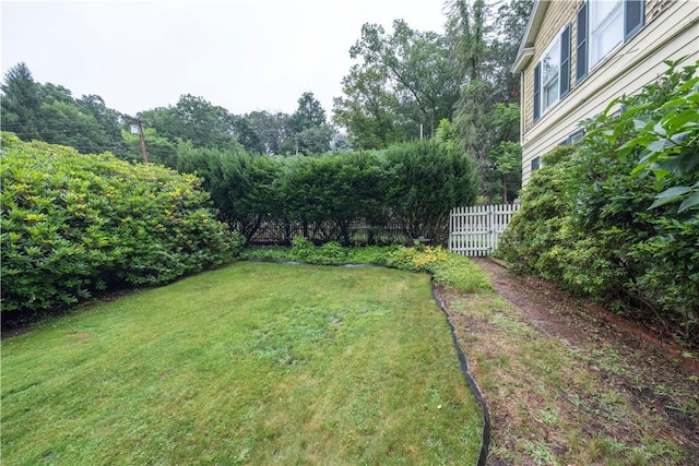 2507 Duncan Ave, Hampton, PA 15101 - view of yard