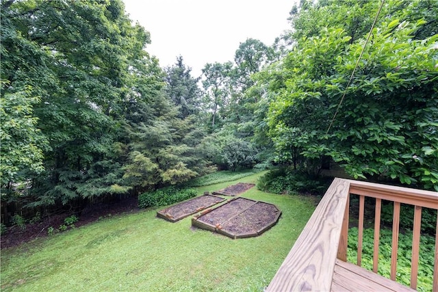 2507 Duncan Ave, Hampton, PA 15101 - view of green lawn