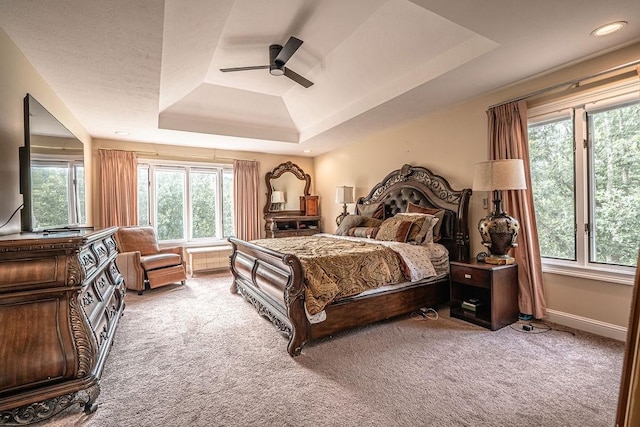 117 Cidar Ln, Peters Twp, PA 15317 - bedroom featuring a tray ceiling, light carpet, and multiple windows