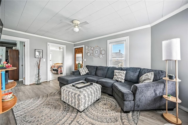 61 S 10th St, Sharpsville, PA 16150 - living area featuring a ceiling fan, wood finished floors, and crown molding