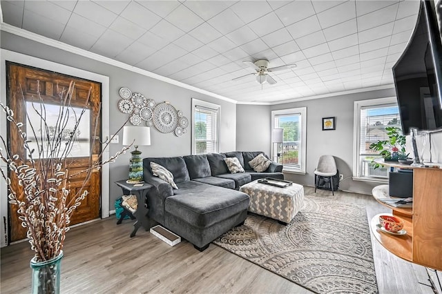 61 S 10th St, Sharpsville, PA 16150 - living area featuring ornamental molding, light wood finished floors, plenty of natural light, and ceiling fan