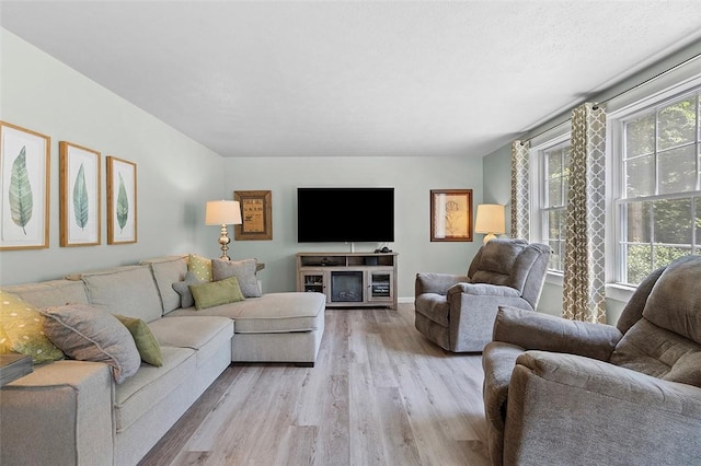 249 Duquesne Blvd, Plum Boro, PA 15068 - living area with light wood-style floors