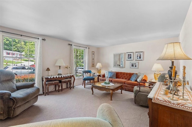249 Duquesne Blvd, Plum Boro, PA 15068 - view of carpeted living area
