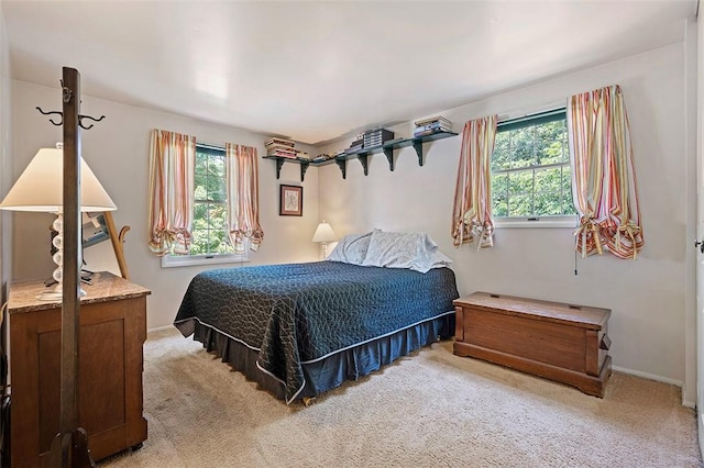 249 Duquesne Blvd, Plum Boro, PA 15068 - bedroom with multiple windows and light carpet