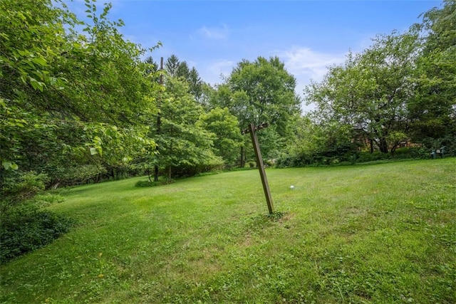 2158 Reis Run Rd, Franklin Park, PA 15237 - view of green lawn