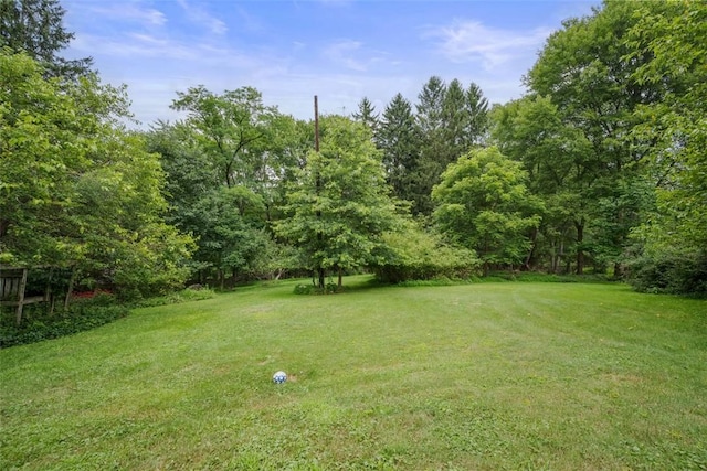 2158 Reis Run Rd, Franklin Park, PA 15237 - view of green lawn