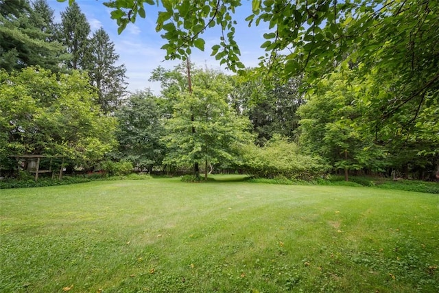 2158 Reis Run Rd, Franklin Park, PA 15237 - view of green lawn