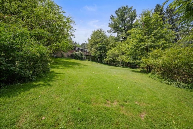2158 Reis Run Rd, Franklin Park, PA 15237 - view of grassy yard