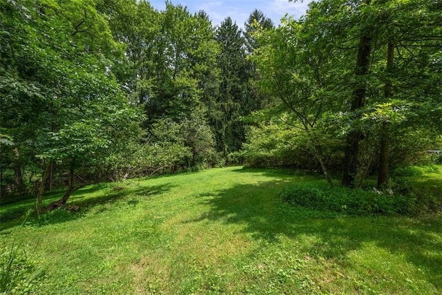 2158 Reis Run Rd, Franklin Park, PA 15237 - view of green lawn featuring a wooded view