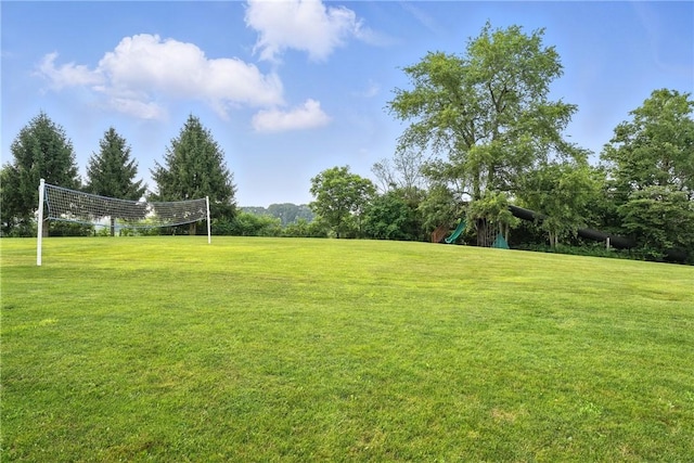 251 Myers Ln, Indiana Twp, PA 15101 - view of green lawn with volleyball court