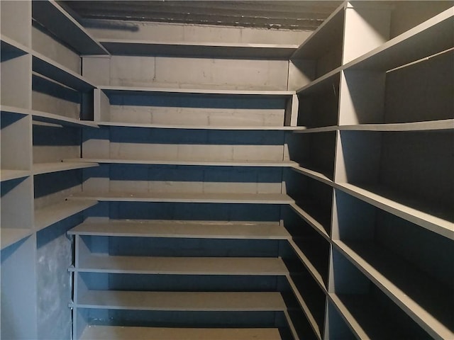 1211 Reed St, North Huntingdon, PA 15642 - view of walk in closet