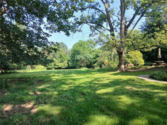 1211 Reed St, North Huntingdon, PA 15642 - view of grassy yard with a wooded view