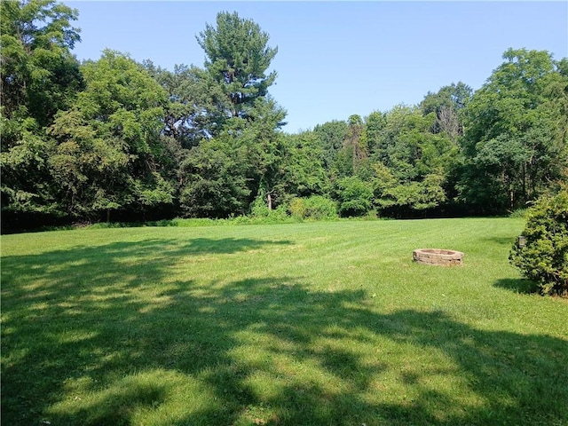 1211 Reed St, North Huntingdon, PA 15642 - view of green lawn with a wooded view