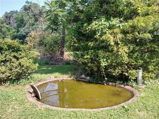 1211 Reed St, North Huntingdon, PA 15642 - view of yard