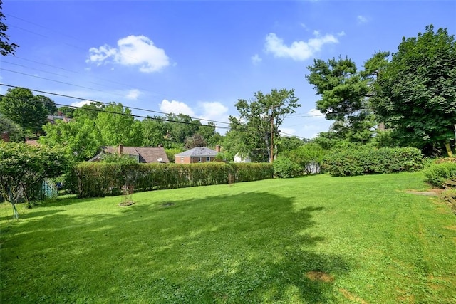 155 Delano Dr, Pleasant Hills, PA 15236 - photo 44