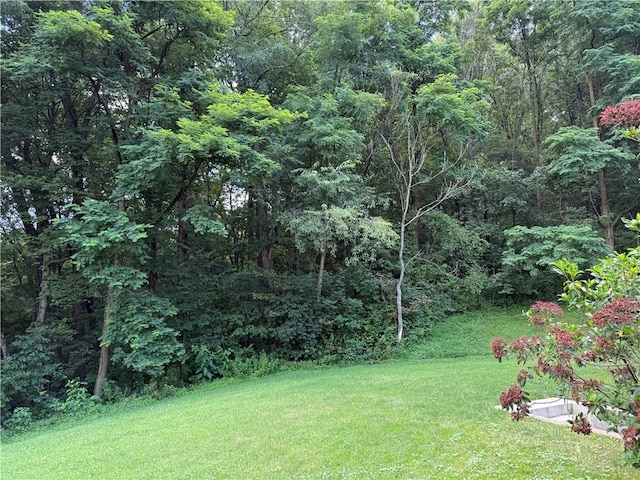 293 Sandy Hill Rd, Middlesex Twp, PA 16059 - view of green lawn with a forest view