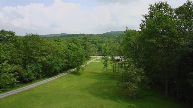 293 Sandy Hill Rd, Middlesex Twp, PA 16059 - surrounding community featuring a forest view
