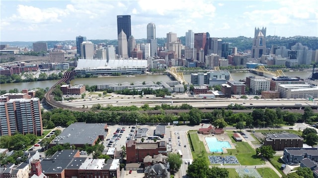 710 Cedar Ave, Central North Side, PA 15212 - skyline view with a nearby body of water