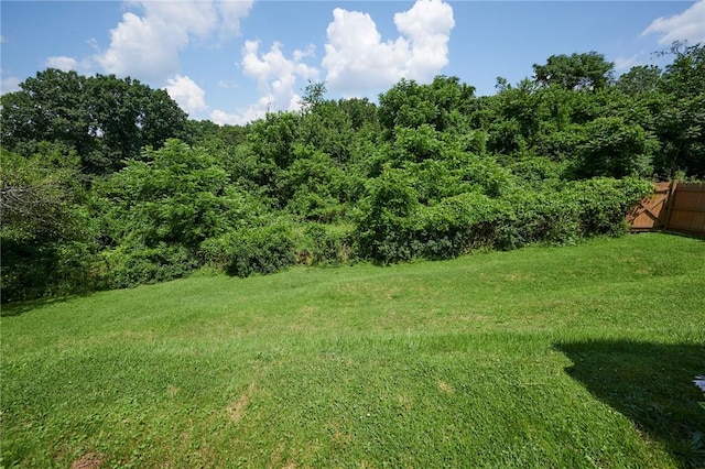 1023 Bellair Rd, Port Vue, PA 15133 - view of grassy yard