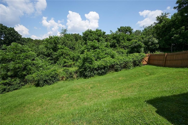 1023 Bellair Rd, Port Vue, PA 15133 - view of yard