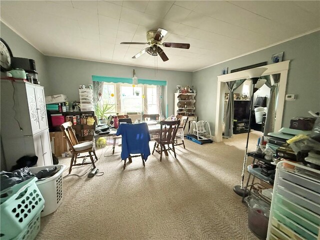 335 Laurel Blvd, New Castle, PA 16101 - photo 3