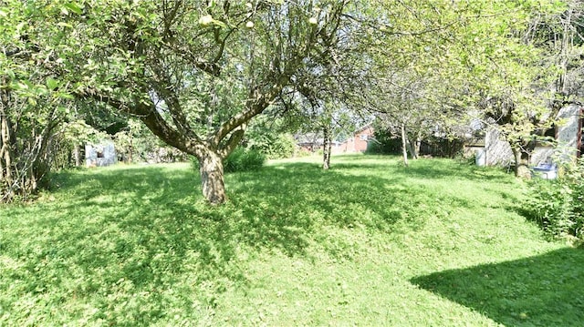 4342 Overhill St, Bethel Park, PA 15102 - photo 4