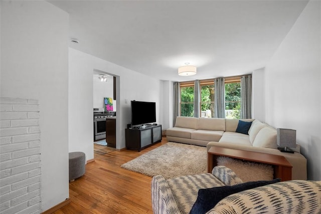 1229 Richmond St, Regent Square, PA 15218 - living room featuring light wood finished floors