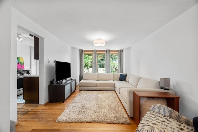 1229 Richmond St, Regent Square, PA 15218 - living area featuring light wood-style flooring