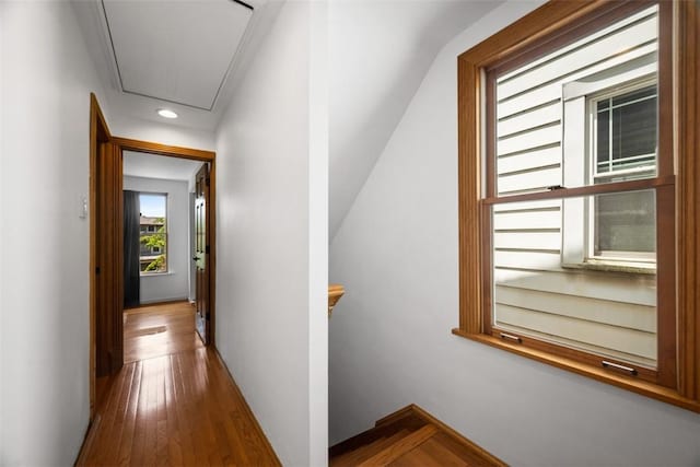 1229 Richmond St, Regent Square, PA 15218 - hall with attic access, wood finished floors, and recessed lighting