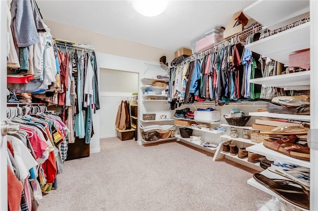 1044 Cross Creek Dr, South Union Twp, PA 15401 - spacious closet featuring carpet flooring