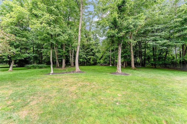 1044 Cross Creek Dr, South Union Twp, PA 15401 - view of green lawn