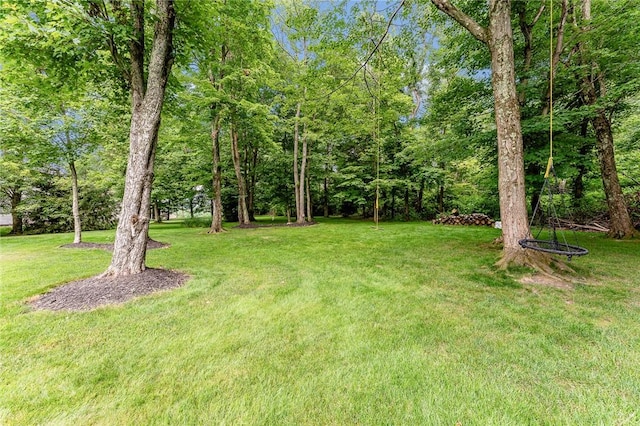 1044 Cross Creek Dr, South Union Twp, PA 15401 - view of grassy yard