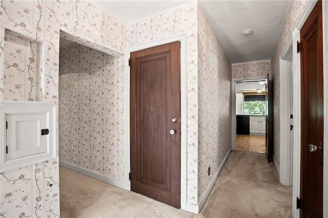 1302 Mount Royal Blvd, Shaler, PA 15223 - corridor featuring light carpet and wallpapered walls