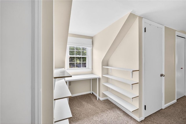 112 Oxford Pl, Saint Clair, PA 15241 - walk in closet with carpet floors