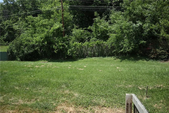 721 Spring St, Roscoe, PA 15477 - view of green lawn