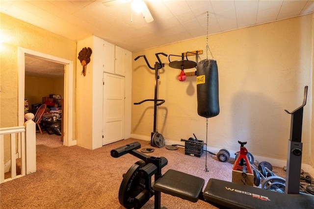 309 Francis Ave, Monongahela, PA 15063 - workout area with carpet floors and ceiling fan
