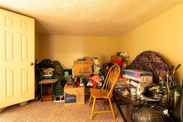 309 Francis Ave, Monongahela, PA 15063 - view of storage