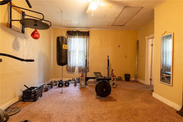 309 Francis Ave, Monongahela, PA 15063 - workout room featuring a ceiling fan and carpet flooring